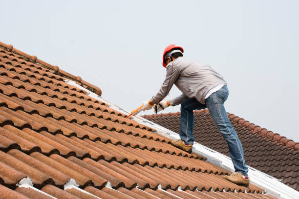 Best Rubber Roofing (EPDM, TPO)  in Zapata, TX